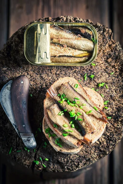 Sandwich fresco wirh sardinhas com no pão integral — Fotografia de Stock