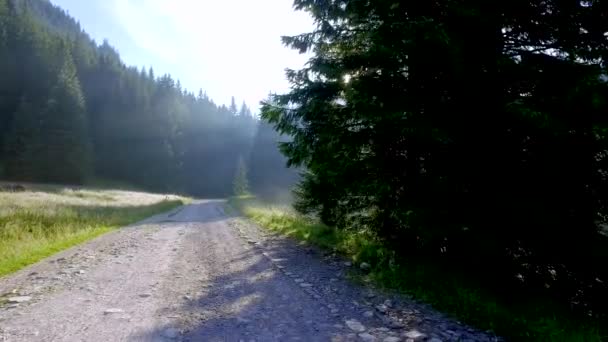 Güneş doğarken, Tatra Dağları, Polonya, Avrupa Vadisi Chocholowska çarpıcı — Stok video