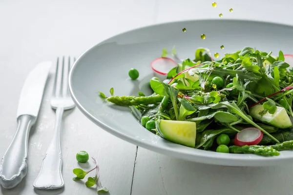 Весенний вегетарианский салат с овощами — стоковое фото