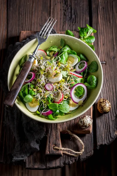 Salada de primavera verde com alface, rúcula e ovo de codorna — Fotografia de Stock