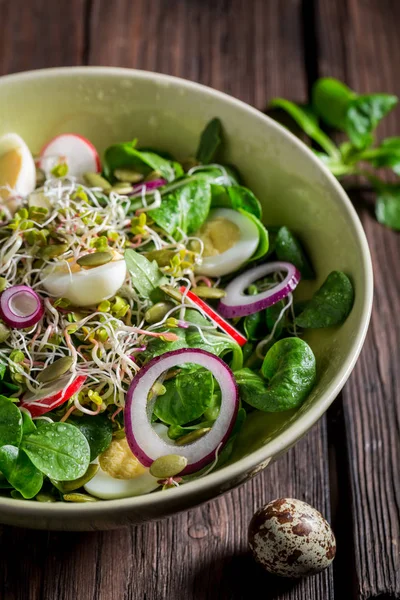 Insalata verde dimagrante con uova di quaglia, ravanello e cipolla — Foto Stock