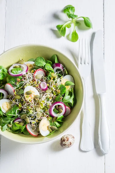 Здоровый зеленый салат с перепелиным яйцом, редиской и луком — стоковое фото