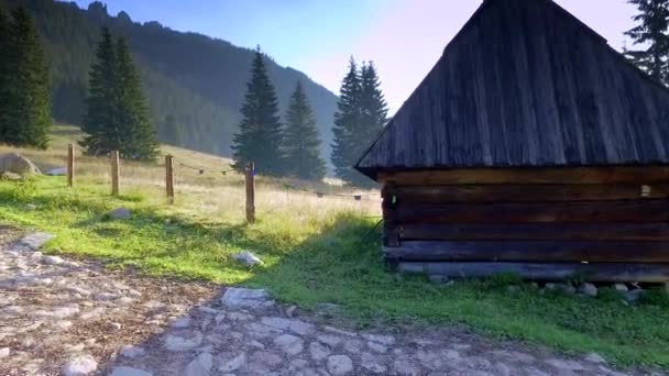 Beautiful valley Chocholowska at sunrise, Tatra Mountains, Poland — Stock Video