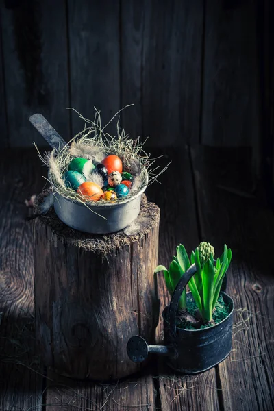 Fresh Easter eggs with hay and feathers — Stock Photo, Image