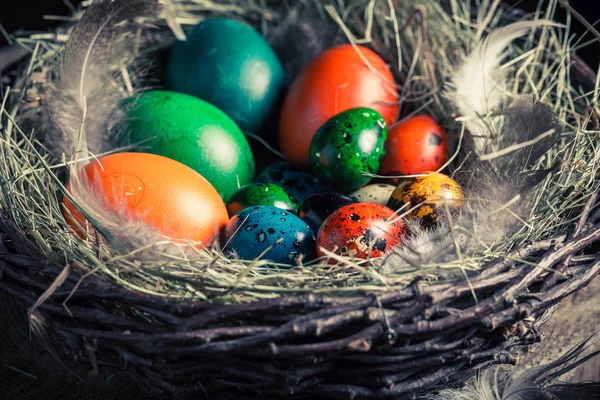 Various Easter eggs in the rustic cottage — Stock Photo, Image