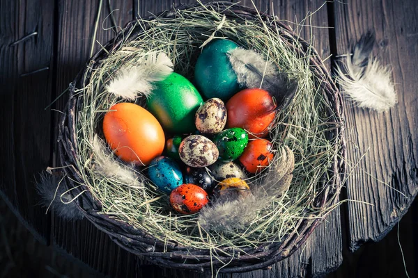 Οικολογικά Πασχαλινά αυγά στη φωλιά με σανό — Φωτογραφία Αρχείου