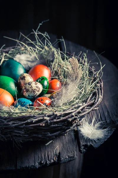 Πολύχρωμα αυγά για το Πάσχα με σανό και φτερά — Φωτογραφία Αρχείου