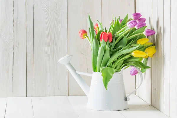 A colourful and young tulip on a white table — Stock Photo, Image
