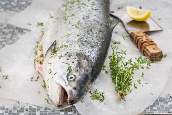 夏の庭で新鮮な鮭をまな板 — ストック写真
