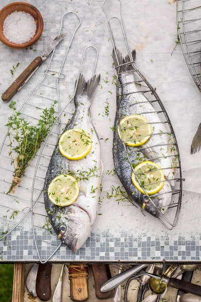 Freshly caught whole sea bream for grill in the garden — Stock Photo, Image