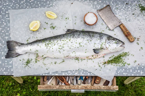 Preparazione di salmone fresco con limone ed erbe aromatiche — Foto Stock