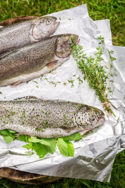 Fresh whole trout for grill in the garden — Stock Photo, Image