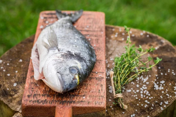 Ganze Dorade mit Thymian und Salz würzen — Stockfoto