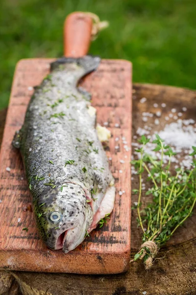 Fresh whole trout with thyme and salt — Stock Photo, Image