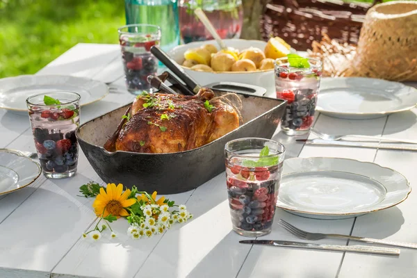 Bahçede tavuk ve patates ile sağlıklı yemek hazır — Stok fotoğraf