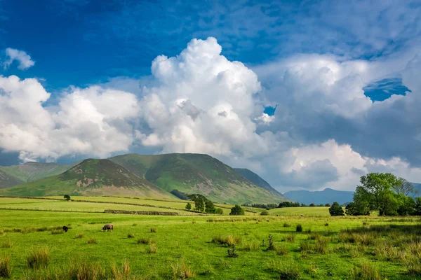 Prairie verte et montagne dans District Lake, Angleterre — Photo