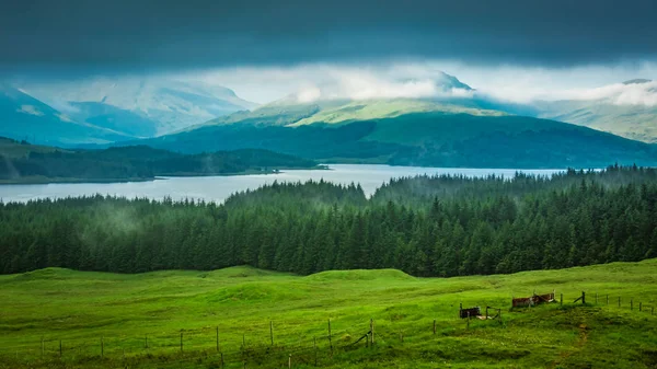 Zimno i mgliste rano w górach Glencoe w Szkocji — Zdjęcie stockowe