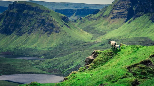 Quiraing a Isola di Skye in estate, Scozia, Regno Unito — Foto Stock