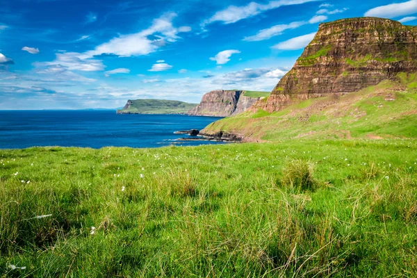 Prachtig uitzicht naar sheeps op de klif, Schotland — Stockfoto