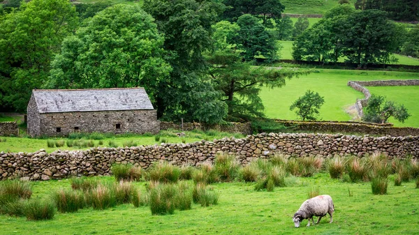 Oude rotsachtige huis en schapen op de groene weide, Verenigd Koninkrijk — Stockfoto