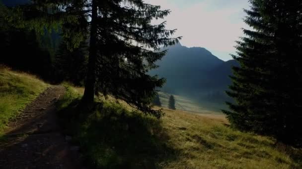 美丽的山谷在黎明，塔特拉山，波兰 Chocholowska — 图库视频影像