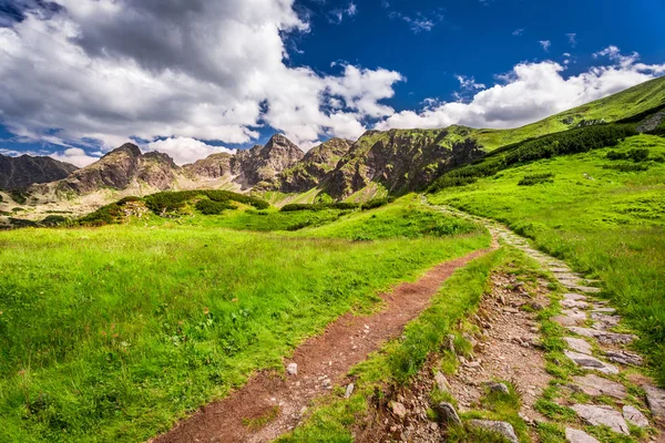 Каменная тропа в горах Татр, Польша, Европа — стоковое фото