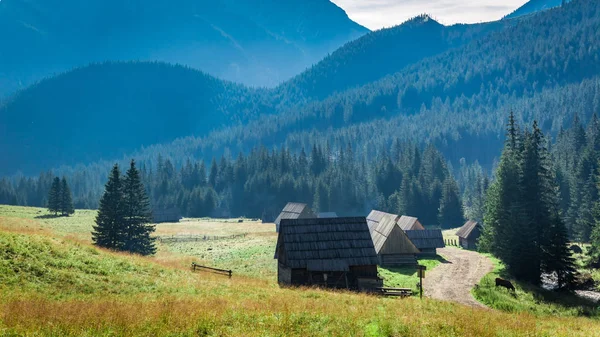 Hoogteweg tussen huisjes in Tatra gebergte, Polen, Europa — Stockfoto