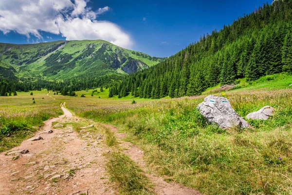 Sentiero in montagna Tatra in estate, Polonia, Europa — Foto Stock
