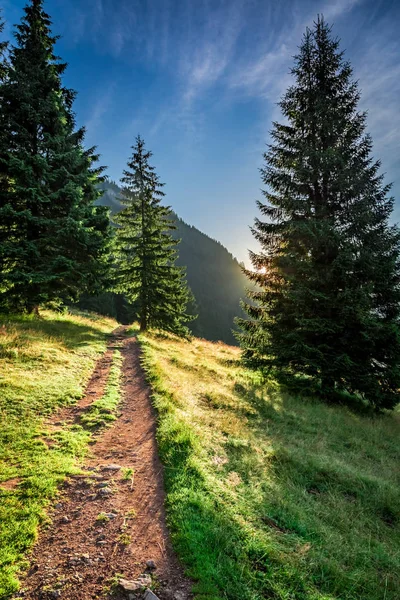 Splendida alba in Valle Chocholowska, Monti Tatra, Polonia, Europa — Foto Stock