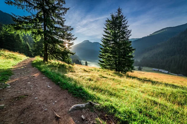 Wonderful valley in Tatras at dawn in summer, Poland, Europe — Stock Photo, Image