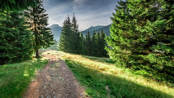 Meravigliosa valle nei Monti Tatra all'alba, Polonia, Europa — Foto Stock