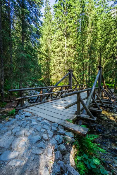 Bospad leidt over een brug in zomer, Polen, Europa — Stockfoto