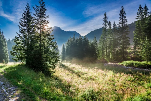 Prachtige vallei in de Tatra gebergte bij zonsopgang, Polen, Europa — Stockfoto
