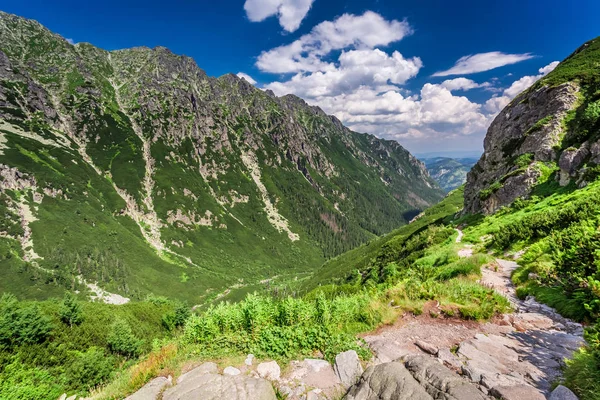 Schmaler Gebirgsweg, der zum Gipfel führt, Polen, Europa — Stockfoto
