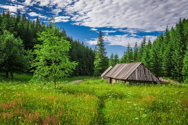 Valle en las montañas Tatra al atardecer, Polonia, Europa — Foto de Stock
