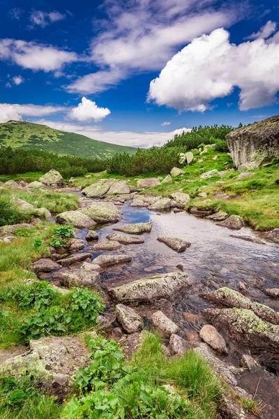 Μονοπάτι στο Tatras βουνό από ρεύμα το καλοκαίρι, Πολωνία — Φωτογραφία Αρχείου