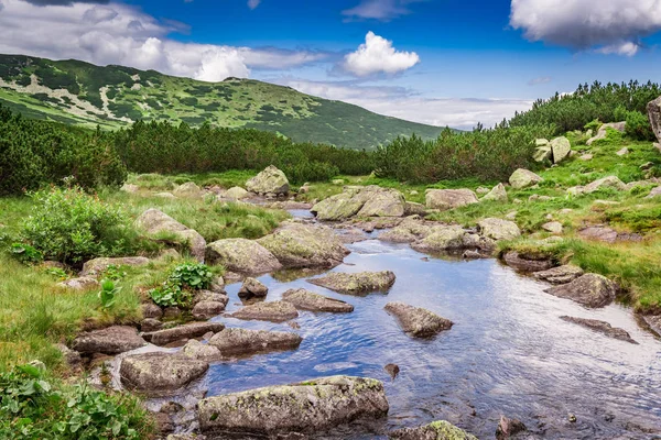 Μονοπάτι από ρεύμα στην Tatras Mountains, Πολωνία, Ευρώπη — Φωτογραφία Αρχείου