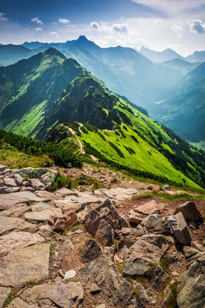 Superbe sentier dans les montagnes, Pologne, Europe — Photo