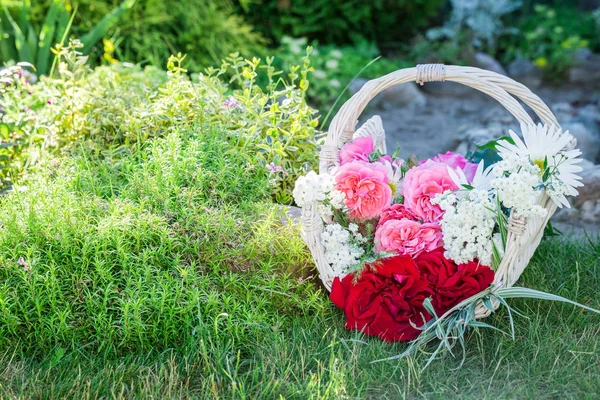 Flores recém-cortadas em cesta branca no jardim ensolarado — Fotografia de Stock
