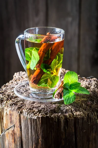 Aromatic tea with cinnamon bark and green leaves — Stock Photo, Image