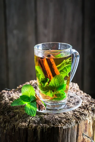 Aromatic tea with green leaves and cinnamon bark — Stock Photo, Image