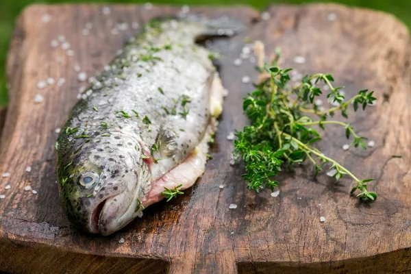 Truite fraîche avec sel et herbes pour grill — Photo