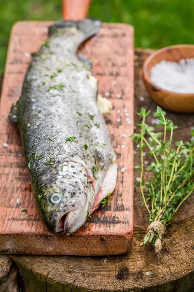 Whole trout with thyme and salt for grill — Stock Photo, Image
