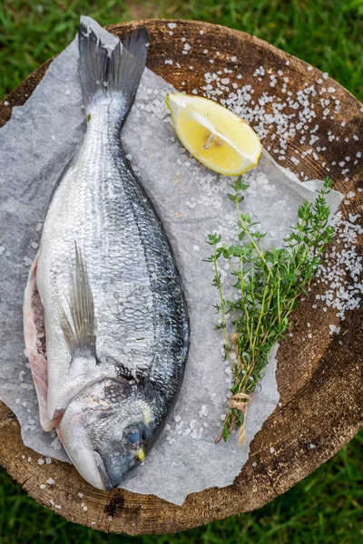 Dorade mit Zitrone und Kräutern zum Grillen würzen — Stockfoto