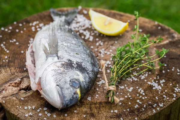 Whole sea bream with lemon and herbs for grill — Stock Photo, Image