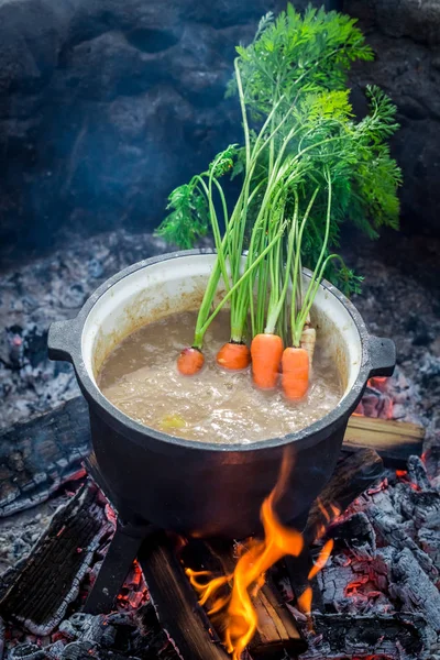 Guiso con carne de res y verduras en hoguera —  Fotos de Stock