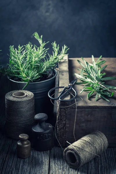 Aromatic and healthy green herbs on a wooden box — Stock Photo, Image