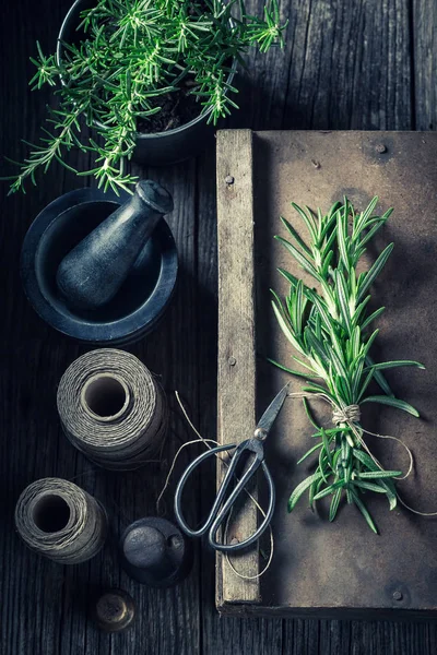 Aromatiska och friska rosmarin i ett rustikt kök — Stockfoto