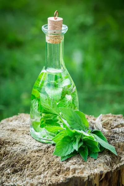 Liqueur maison saine à la menthe et à l'alcool en été — Photo