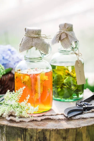 Clouseup of herbs in bottles as natural medicine — Stock Photo, Image